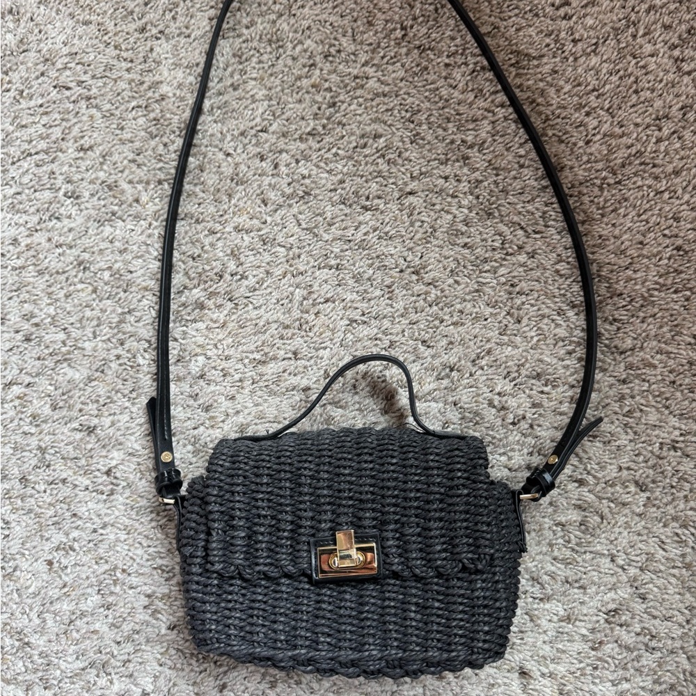 Zara raffia mini bag